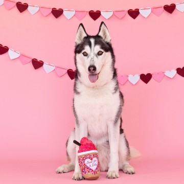 Love You A Latte PetShop by Fringe Studio