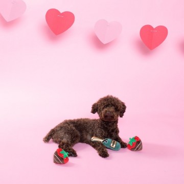 Set Champagne Strawberry