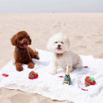 Set Champagne Strawberry van PetShop by Fringe Studio