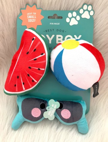 Pool Party Set Fringe Studio