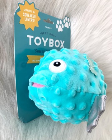 Puffer Fish Puffed Up Bubbles