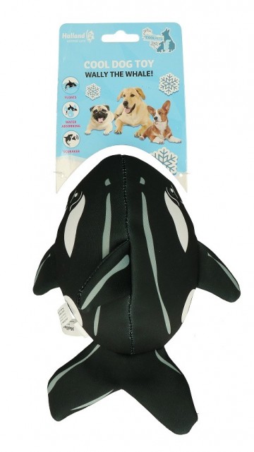 Wally the Whale Water Toy