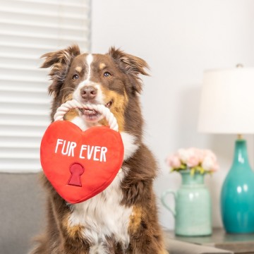 Huxley & Kent Fur Ever Lock Heart Dog