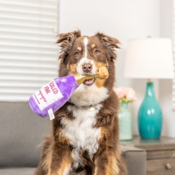 Huxley & Kent Tickled Pink Chompagne Dog