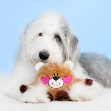 ZippyPaws Bear in Love Dog
