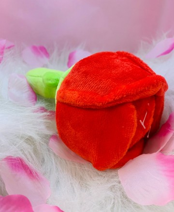 HugSmart Woof Love Rose Ball