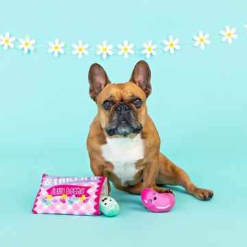 Burrow Barkers Jelly Beans Dog