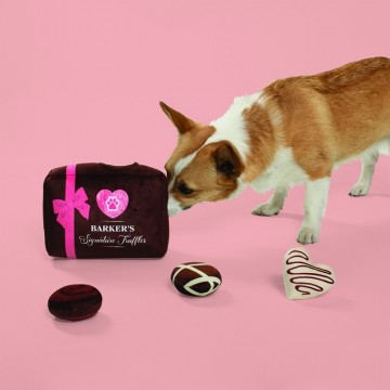 Give Me Some Sugar Burrow Fringe Studio Dog Bonbons