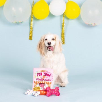 Fun Zone Bones Burrow PetShop Dog