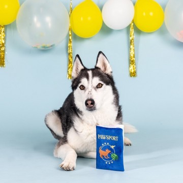 Pawsport Fringe Studio Dog Toy