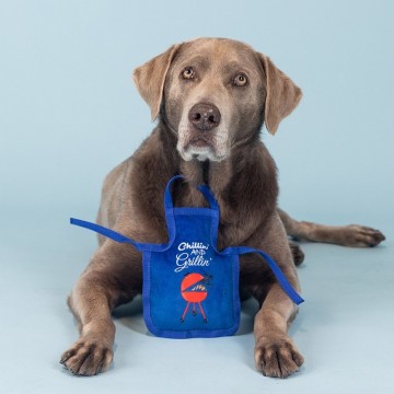 Chillin' and Grillin' Wagsdale by Fringe Studio Dog Toy