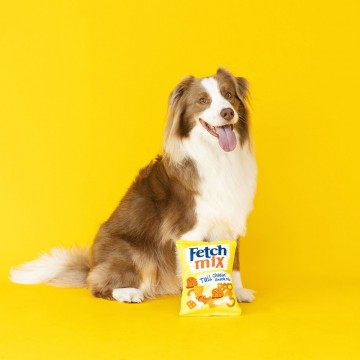 Fetch Mix Wagsdale Dog Toy