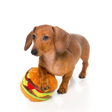 FuzzYard Hamburger Dog Toy
