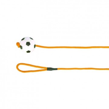Trixie Voetbal aan Touw