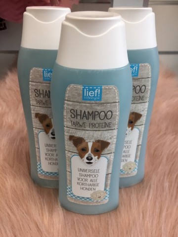 Shampoo Kort Haar 2