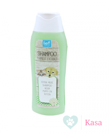 Shampoo Puppy