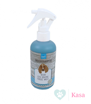 Droogshampoo