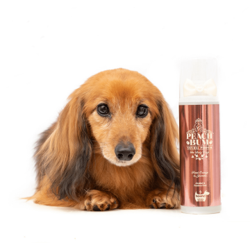 Hownd Peach Bum Parfum For Lady Dogs