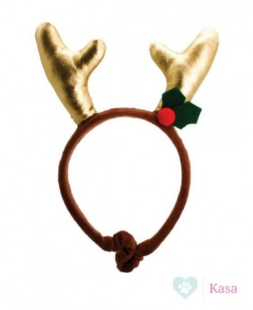 Happy Pet Diadeem Gouden Gewei