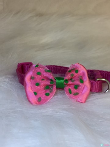 Halsband Puppy Dots Pink 1