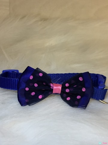 Halsband Puppy Dots Dark Blue 1