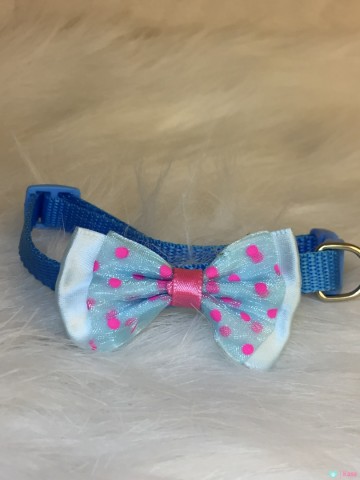 Halsband Puppy Dots Blue 1