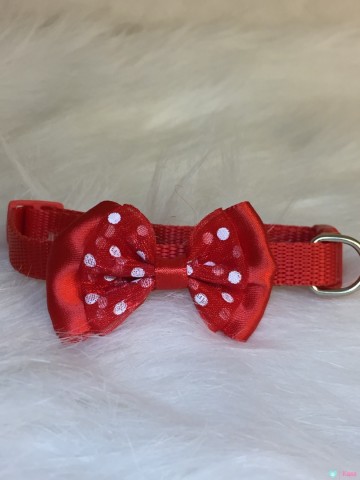 Halsband Puppy Dots Red 1