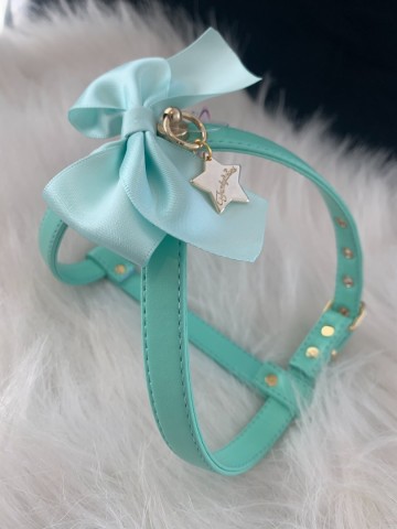 Funkylicious Harnas Romantic Mint 1