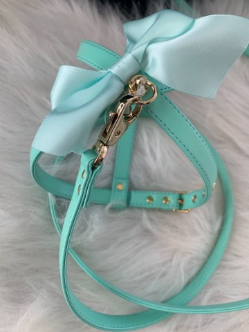 Funkylicious Harnas Romantic Mint 4