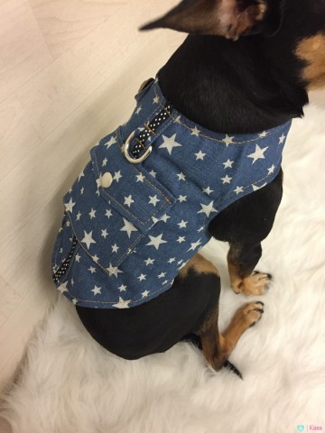 Harnas Jeans Stars 5