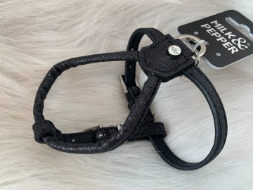 Stardust Harnas Black 2