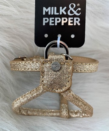 Stardust Gold Harnas 1