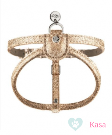 Stardust Gold Harnas