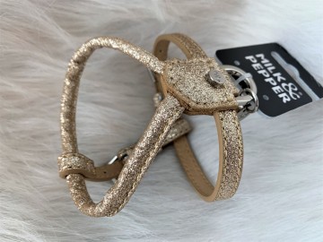 Stardust Gold Harnas 2