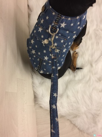 Harnas Jeans Stars 6