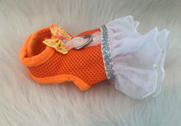 Tuigje Orange Dress 3