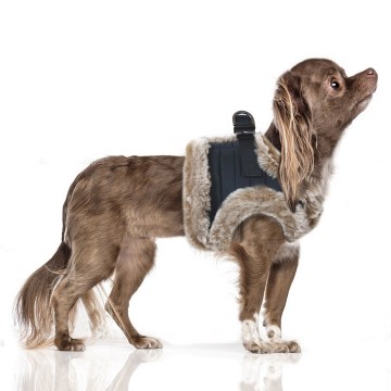 Milk & Pepper Hondentuig Yuri Marine Hond Zijkant