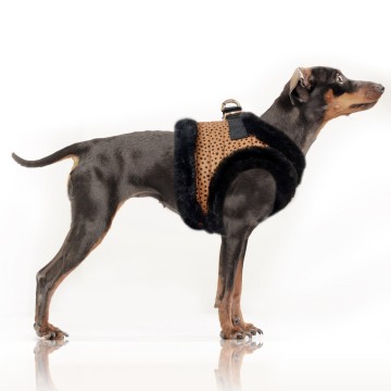 Milk & Pepper Hondentuig Katoun Hond Zijkant