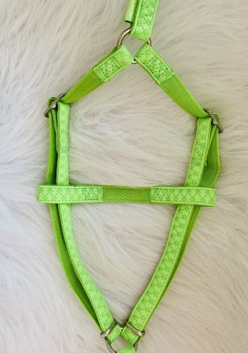 Zolux Mac Leather Tuig Groen Instap