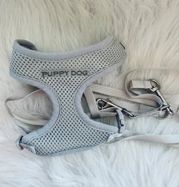 Trixie Junior Tuigje Riem Set Lichtgrijs