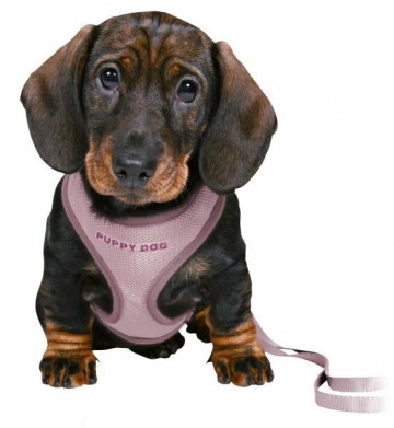 Trixie Junior Puppytuig met Riem Lila Teckel