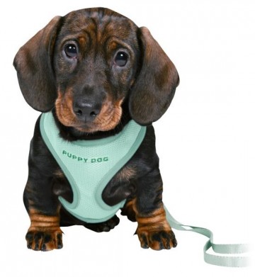 Trixie Junior Puppytuig met Riem Mint Teckel