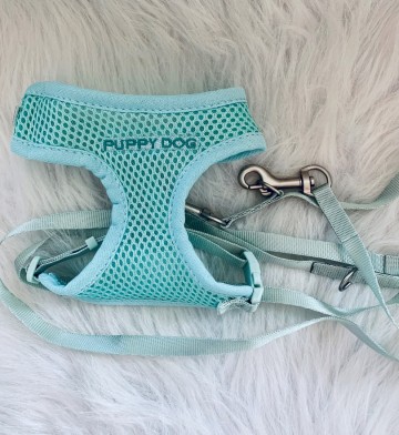 Trixie Junior Puppytuig met Riem Mint Set