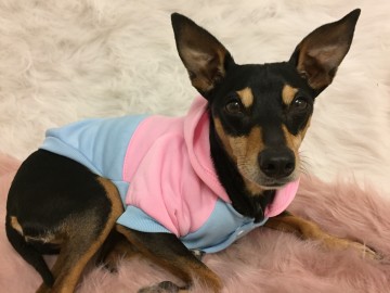 Sweater Sporty Baby 4