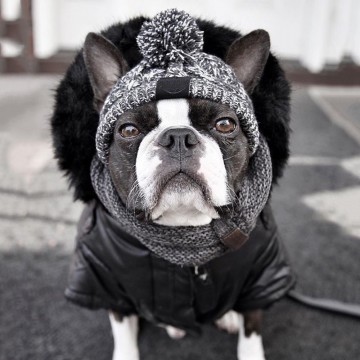 Wintermuts Knitted Grey