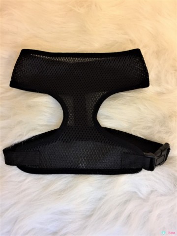 Safety Harnas Auto 1