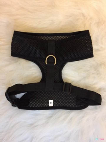 Safety Harnas Auto 2