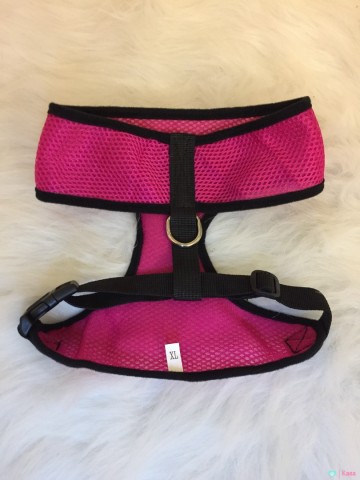 Safety Harnas Auto 5