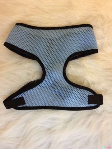 Safety Harnas Auto 7